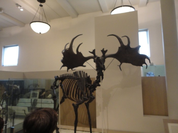 ???????????????????????????????