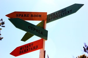 Adelaide at the Fringe Festival