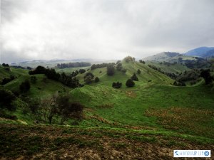 Hobbit-like hills in River Valley