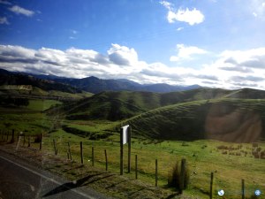 View from Kiwi Experience bus