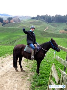 River Valley horse-riding