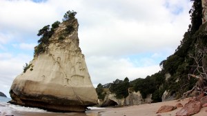 The Beach at Cathedral Cove