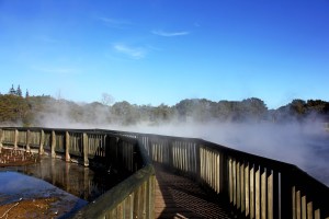 Looking across Rotorua Lake