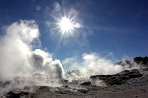 Geysers in Te Puia