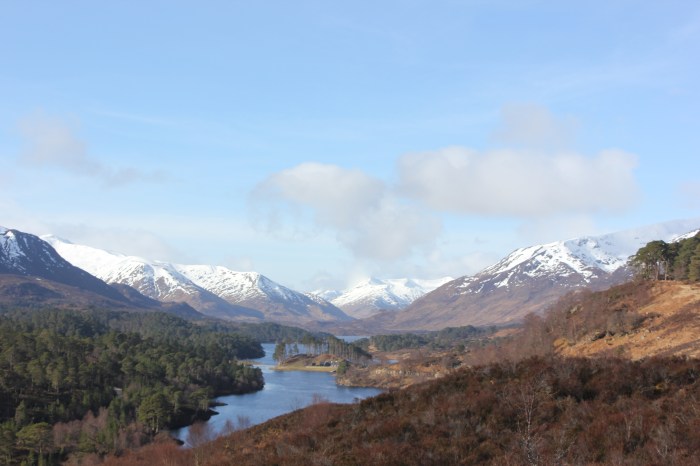 Am Meallan Viewpoint