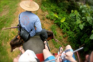 Riding an elephant!