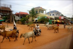 Rural Cambodia