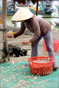 The bustling fish market