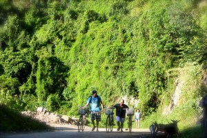 Cycling with goats on Cat Ba island!