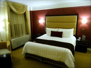 Review: Hotel Metro, NYC
